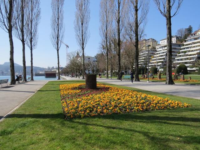 an der sehr schönen Seepromenade entlang, geht es Richtung Altstadt von Luzern