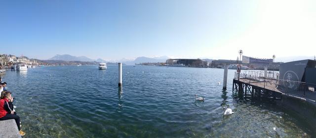 schönes Breitbildfoto aufgenomen beim Hafen von Luzern