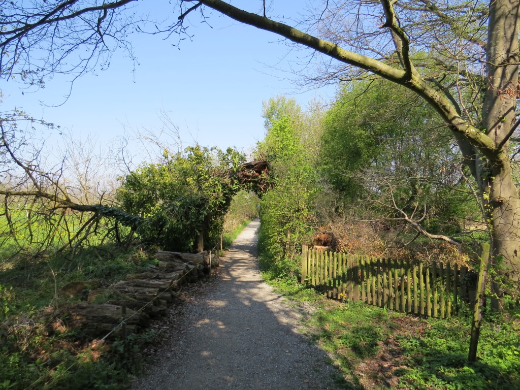 auf dem Weg nach Güttingen