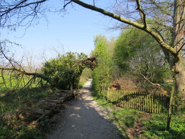 auf dem Weg nach Güttingen