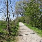 unsere Bodenseeumrundung geht langsam dem Ende zu