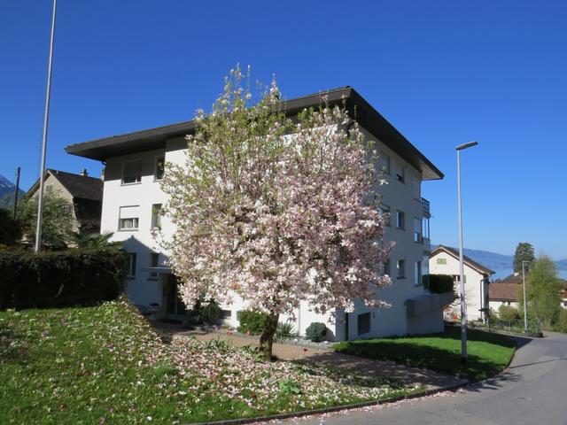 wir laufen durch das schöne von der Sonne begnadetes Dorf Vitznau