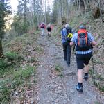 steil führt der Waldweg aufwärts...