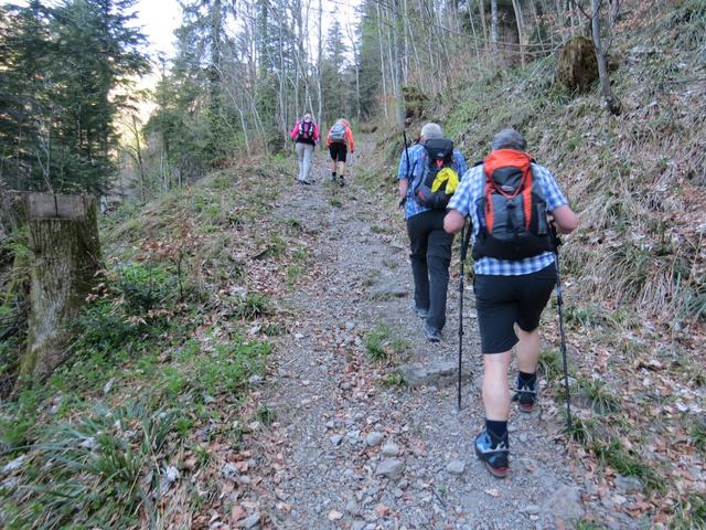 steil führt der Waldweg aufwärts...