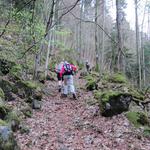 der Waldweg führt nun in südlicher Richtung weiter steil aufwärts