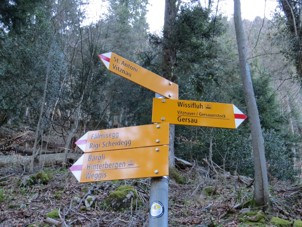 kurz nach dem schönen Unterstand vollzieht der Wanderweg eine Spitzkehre