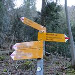 kurz nach dem schönen Unterstand vollzieht der Wanderweg eine Spitzkehre