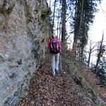 schmal führt er im abschüssigen Wald um die Felswände herum