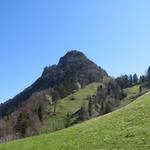 Blick hinauf zum Gersauerstock oder Vitznauerstock