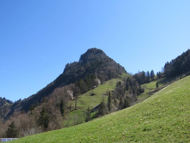 Blick hinauf zum Gersauerstock oder Vitznauerstock