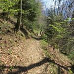 wir laufen durch den kleinen Wald bei Ober Bode