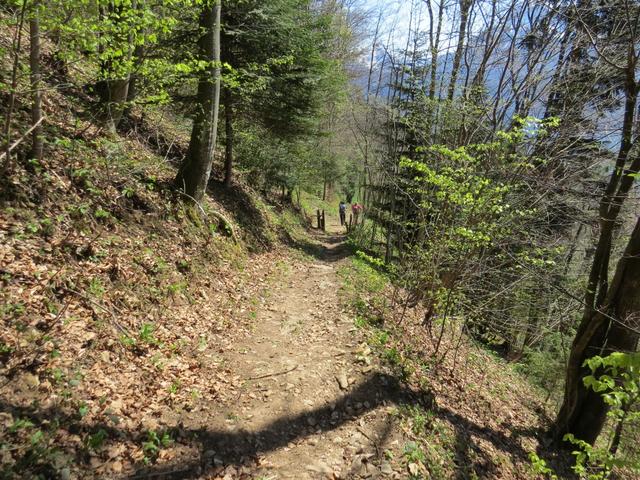 wir laufen durch den kleinen Wald bei Ober Bode