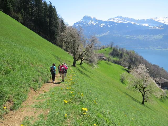 was für eine traumhafte Wanderung!