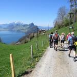 wir biegen rechts ab und wandern über eine Alpstrasse abwärts...