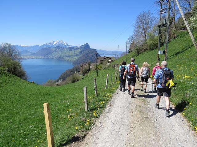 wir biegen rechts ab und wandern über eine Alpstrasse abwärts...