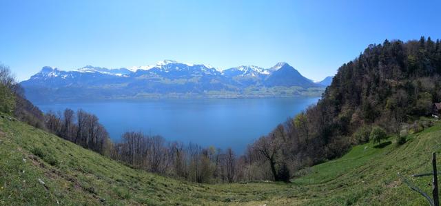 auch hier superschöne Aussicht Richtung Buochserhorn, Schwalmis und Oberbauenstock