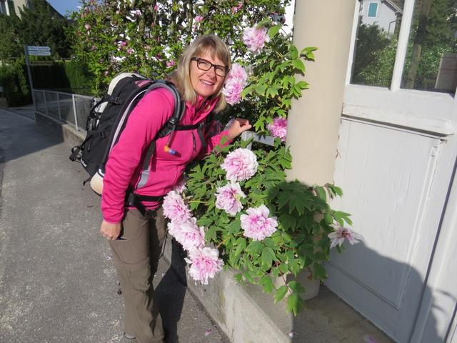 die lieblingsblumen meiner Maus...