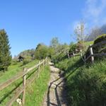 ...der Wanderweg kürzt die Strecke beträchtlich