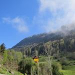 über unsere Köpfe schwebt die Seilbahn von Weggis hinauf nach Rigi Kaltbad