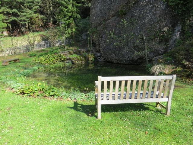 ein schöner Garten lädt hier zum Verweilen ein