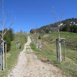 wir wandern nun über einen relativ steilen Höhenweg...