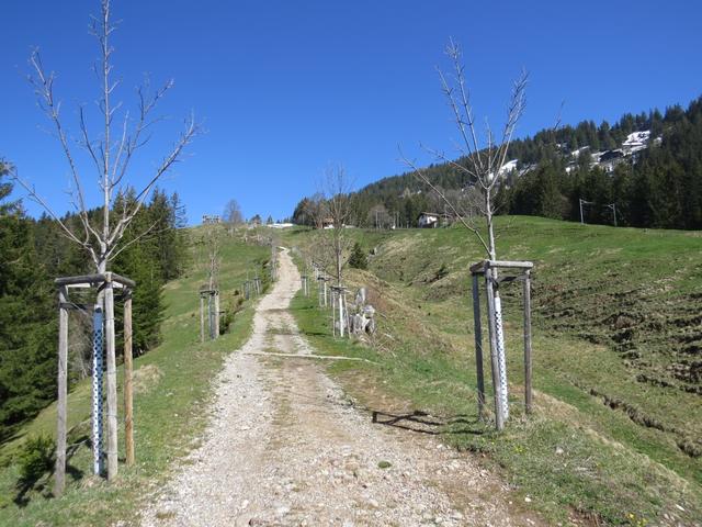 wir wandern nun über einen relativ steilen Höhenweg...