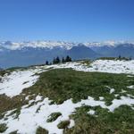 ...mit traumhafter Aussicht hinauf nach Rigi Kaltbad