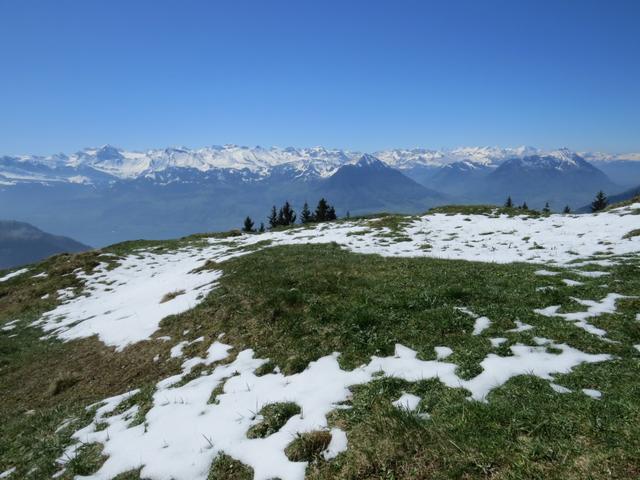 ...mit traumhafter Aussicht hinauf nach Rigi Kaltbad