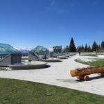 bei der grossen Aussichtsterrasse Rigi Kaltbad 1436 m.ü.M.