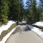 ...und biegen in den Unteren Firstweg ein. Über ein gut ausgebauter Höhenweg geht es nun alles geradeaus