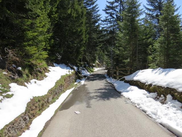 ...und biegen in den Unteren Firstweg ein. Über ein gut ausgebauter Höhenweg geht es nun alles geradeaus