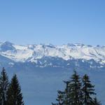 wir blicken zu den Bergen der Zentralschweiz