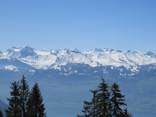 wir blicken zu den Bergen der Zentralschweiz