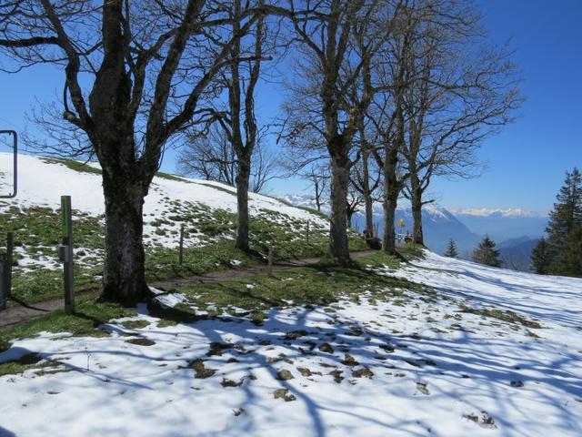 bei der grossen Wegkreuzung beim Restaurant Bärenstube 1453 m.ü.M. biegen wir rechts ab