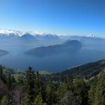 sehr schönes Breitbildfoto mit Blick auf den Vierwaldstättersee...