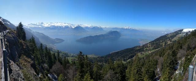 sehr schönes Breitbildfoto mit Blick auf den Vierwaldstättersee...