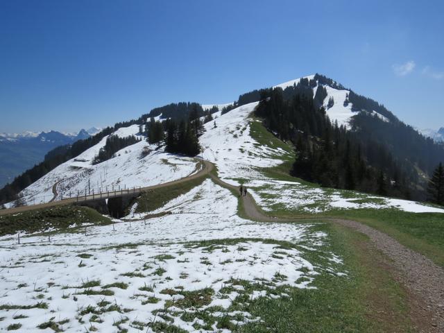 ...zur Weggabelung Punkt 1431 m.ü.M.