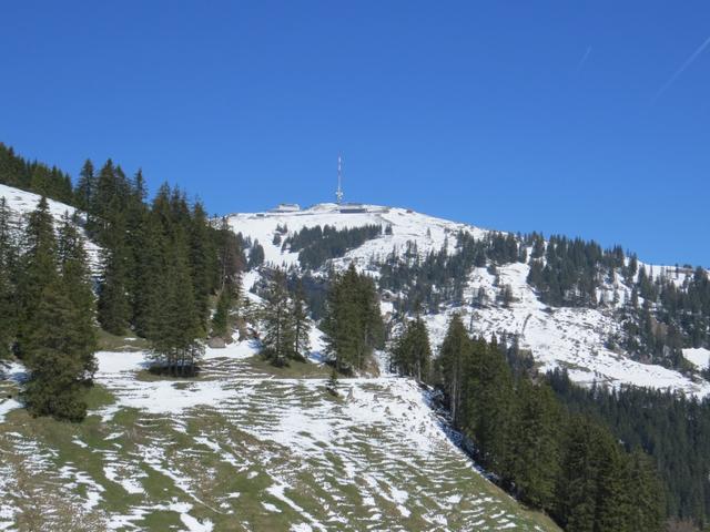 wir blicken zurück und hinauf zur Rigi Kulm