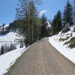 der schöne Wanderweg führt uns nun links am Würzestock vorbei