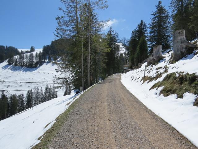 der schöne Wanderweg führt uns nun links am Würzestock vorbei