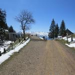 über eine breite Alpstrasse erreichen wir danach Rigi Unterstetten 1452 m.ü.M.