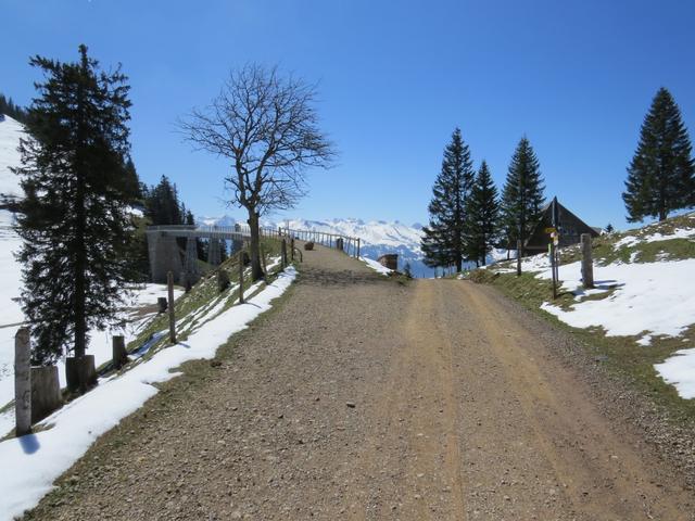 über eine breite Alpstrasse erreichen wir danach Rigi Unterstetten 1452 m.ü.M.