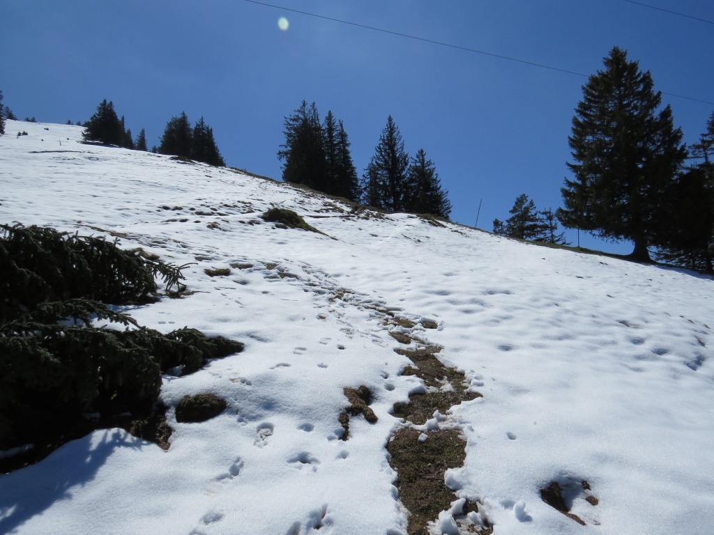 der Weg führt nun steil hinauf Richtung Dosse