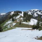 Blick hinunter nach Rigi Unterstetten