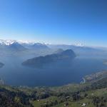 super schönes Breitbildfoto mit Blick auf den Vierwaldstättersee