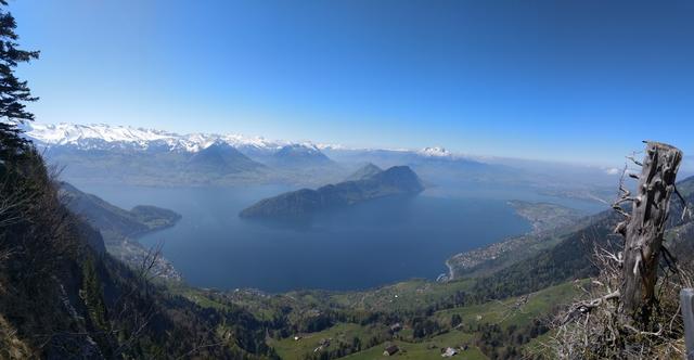 super schönes Breitbildfoto mit Blick auf den Vierwaldstättersee