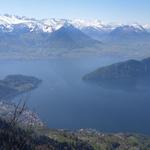 Blick auf die Seeenge zwischen Vitznau und Ennetbürgen