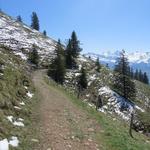 über Alpweiden führt uns der Wanderweg auf fast gleichbleibender Höhe Richtung Oberstafel