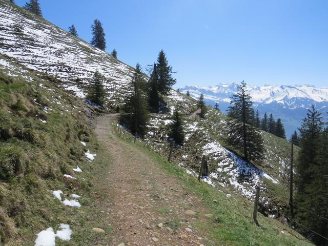 über Alpweiden führt uns der Wanderweg auf fast gleichbleibender Höhe Richtung Oberstafel