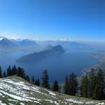 super schönes Breitbildfoto mit Blick auf den Vierwaldstättersee